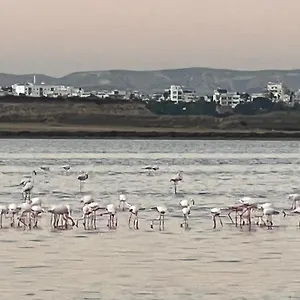 Pensionat Salt, Larnaca